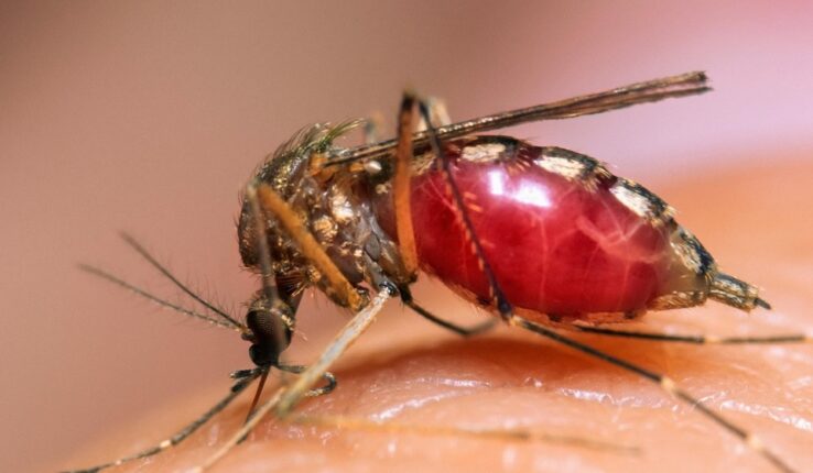 Malariya ikomeje kwiyongera muri Nyagatare
