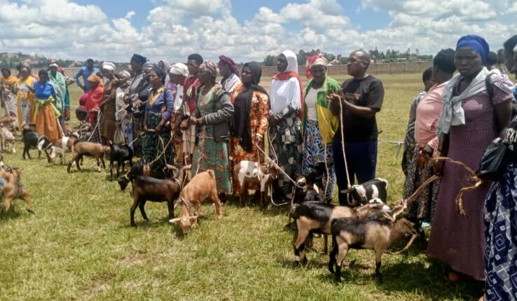 Nyanza:  Abaturage  bari babayeho nabi borojwe amatungo magufi